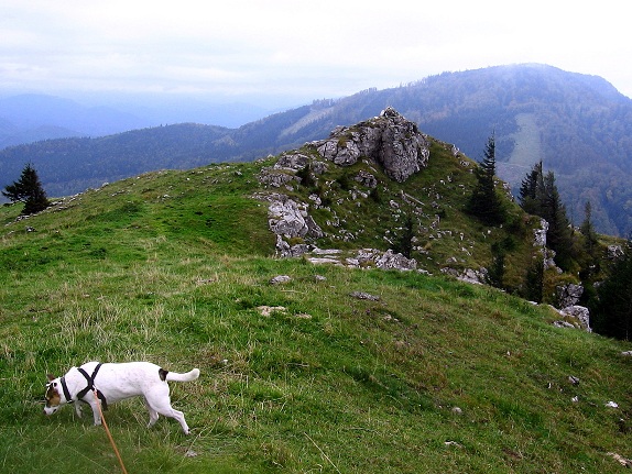 Foto: Andreas Koller / Wandertour / Hochstaff und Reisalpe (1399m) / Übergang vom Hochstaff zur Reisalpe / 10.10.2012 23:27:03