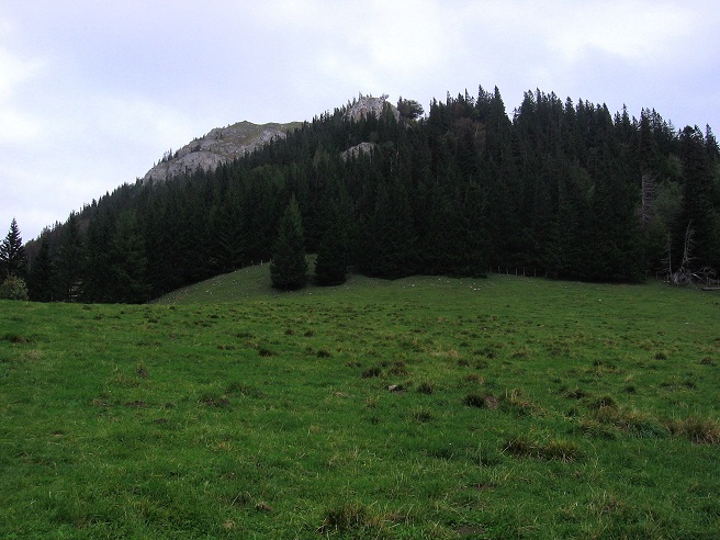Foto: Andreas Koller / Wandertour / Hochstaff und Reisalpe (1399m) / 10.10.2012 23:23:23