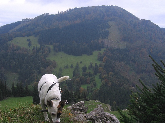 Foto: Andreas Koller / Wandertour / Hochstaff und Reisalpe (1399m) / 10.10.2012 23:22:57