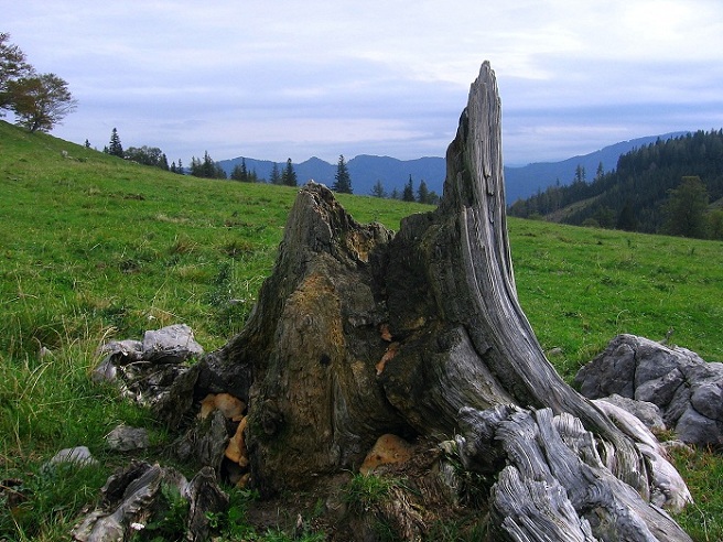Foto: Andreas Koller / Wandertour / Hochstaff und Reisalpe (1399m) / 10.10.2012 23:22:07