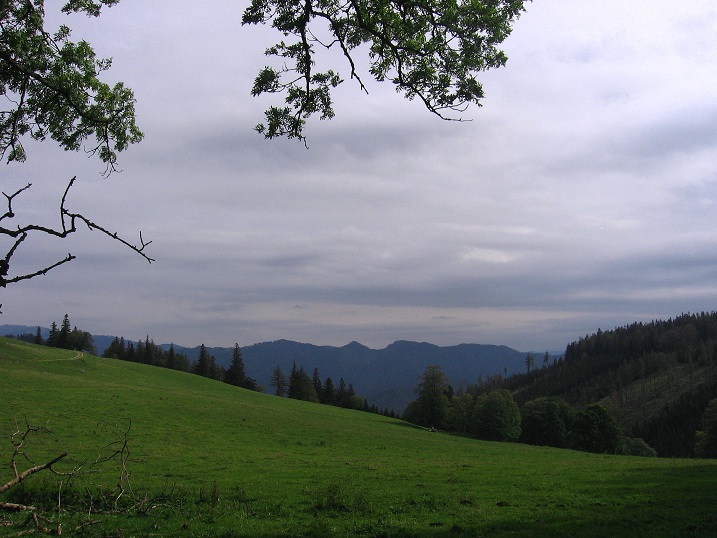 Foto: Andreas Koller / Wandertour / Hochstaff und Reisalpe (1399m) / 10.10.2012 23:21:34