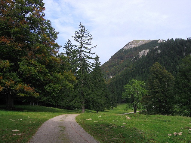 Foto: Andreas Koller / Wandertour / Hochstaff und Reisalpe (1399m) / Hochstaff / 10.10.2012 23:20:38
