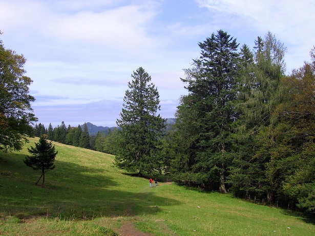 Foto: Andreas Koller / Wandertour / Hochstaff und Reisalpe (1399m) / 10.10.2012 23:19:28