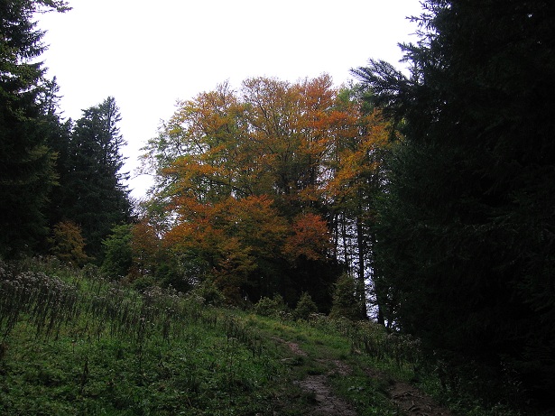Foto: Andreas Koller / Wandertour / Hochstaff und Reisalpe (1399m) / 10.10.2012 23:18:21