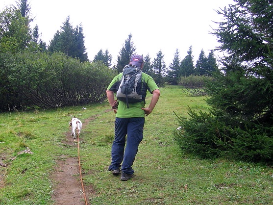 Foto: Andreas Koller / Wandertour / Hochstaff und Reisalpe (1399m) / 10.10.2012 23:17:44