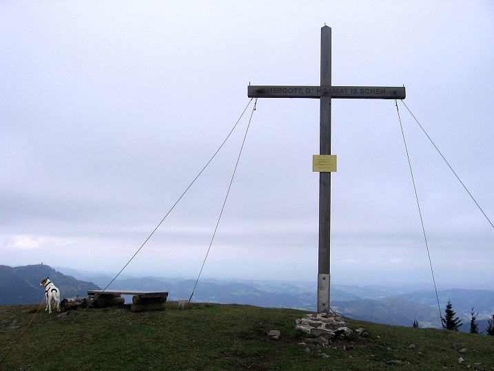 Foto: Andreas Koller / Wandertour / Hochstaff und Reisalpe (1399m) / 10.10.2012 23:17:09