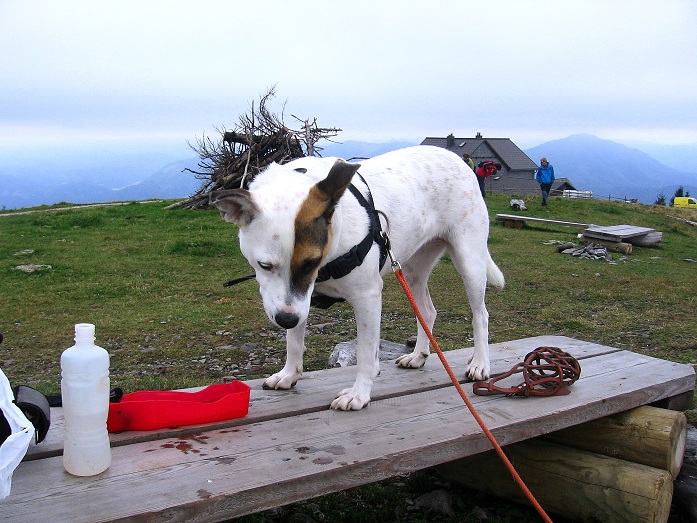 Foto: Andreas Koller / Wandertour / Hochstaff und Reisalpe (1399m) / 10.10.2012 23:16:55