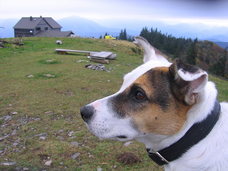 Foto: Andreas Koller / Wandertour / Hochstaff und Reisalpe (1399m) / 10.10.2012 23:15:35