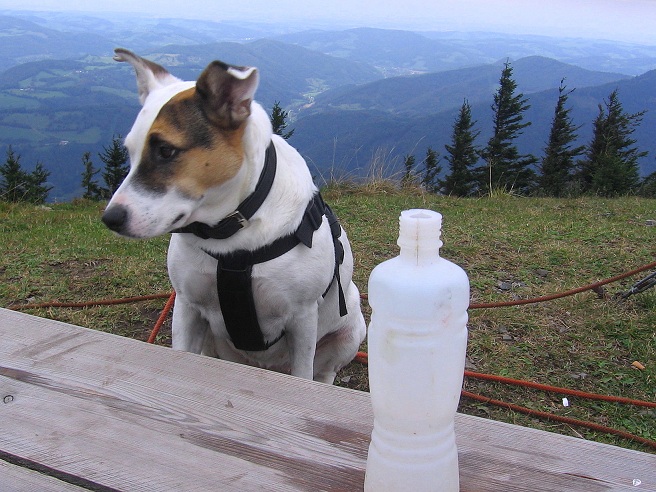 Foto: Andreas Koller / Wandertour / Hochstaff und Reisalpe (1399m) / 10.10.2012 23:15:10