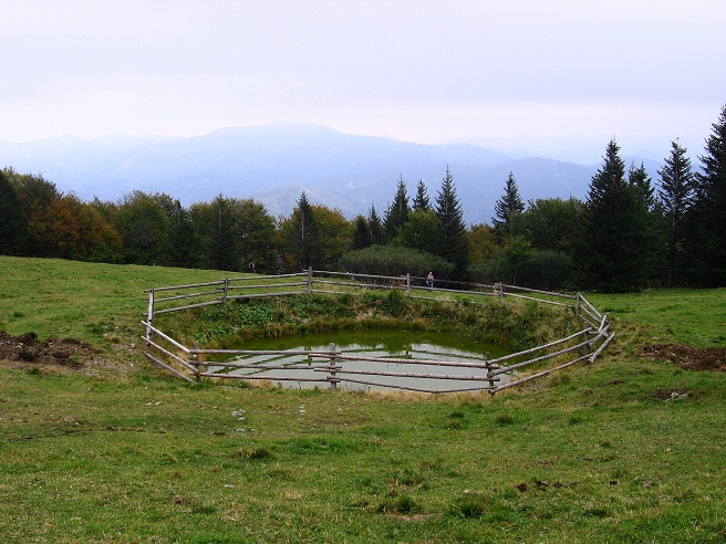 Foto: Andreas Koller / Wandertour / Hochstaff und Reisalpe (1399m) / 10.10.2012 23:14:17