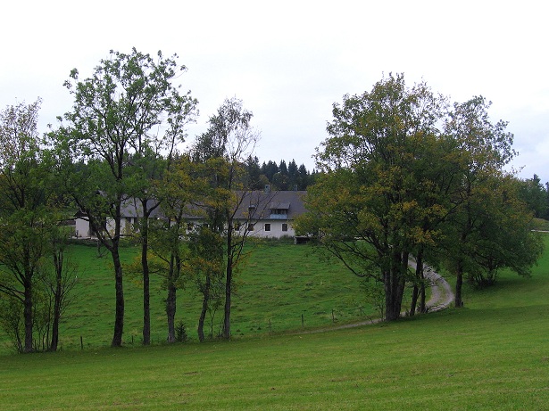 Foto: Andreas Koller / Wandertour / Hochstaff und Reisalpe (1399m) / 10.10.2012 23:13:52