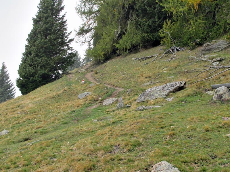 Foto: vince 51 / Wandertour / von Matsch auf die Spitzige Lun und das Hohe Joch / Aufstieg zur Spitzigen Lun / 04.11.2012 21:43:05