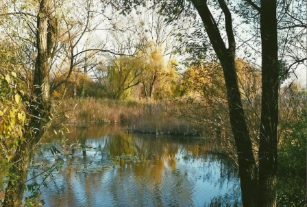 Foto: Wolfgang Dröthandl / Wandertour / Stadtwanderweg 12 - Durch Wien von West nach Ost / Am Mühlwasser / 03.12.2012 11:23:31
