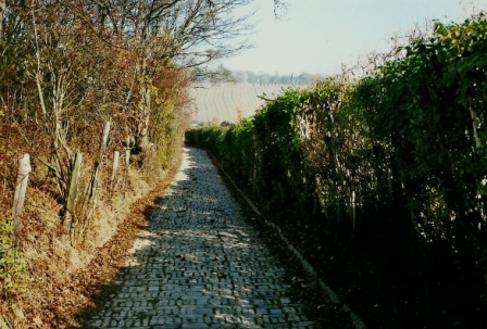 Foto: Wolfgang Dröthandl / Wandertour / Stadtwanderweg 12 - Durch Wien von West nach Ost / Neustift am Walde - Fuhrgassel / 03.12.2012 11:37:43
