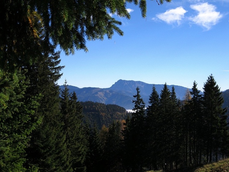 Foto: Andreas Koller / Wandertour / Gratwanderung zum Kerschkern (2225m) / 21.11.2012 01:20:56