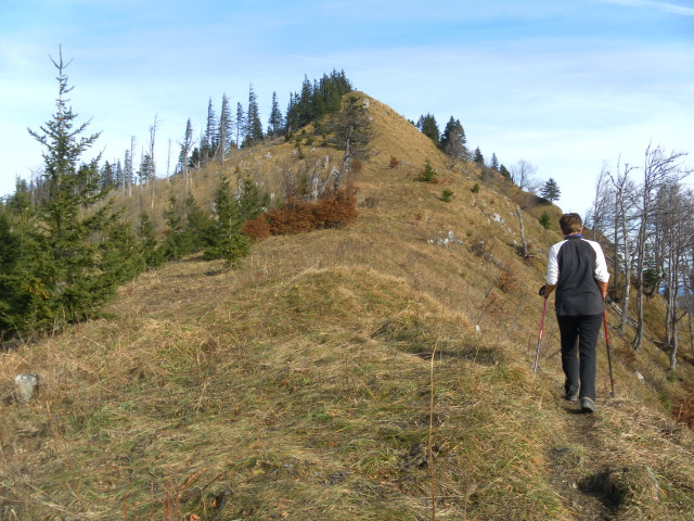 Foto: Wolfgang Lauschensky / Wandertour / Burgspitz – Almkogel – Gamsstein / Südgrat Burgspitz / 24.11.2012 15:07:11