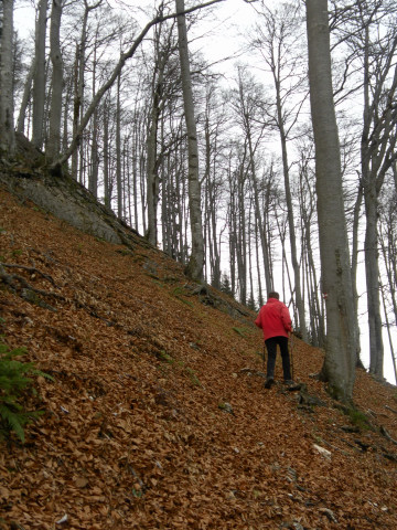 Foto: Wolfgang Lauschensky / Wandertour / Burgspitz – Almkogel – Gamsstein / Gamsstein Ostflanke / 24.11.2012 15:05:17