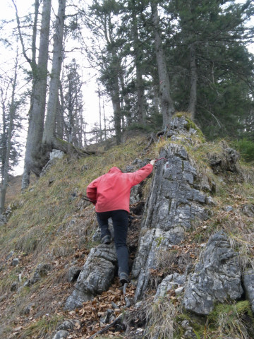 Foto: Wolfgang Lauschensky / Wandertour / Burgspitz – Almkogel – Gamsstein / kurze gesicherte Schrofenstufe / 24.11.2012 15:05:05