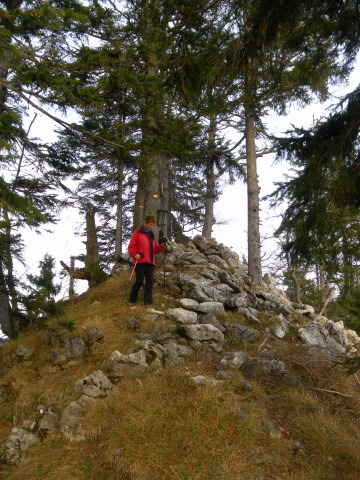 Foto: Wolfgang Lauschensky / Wandertour / Burgspitz – Almkogel – Gamsstein / Gamssteinköpfl / 24.11.2012 15:04:50