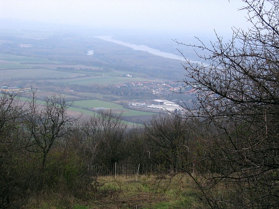 Foto: Andreas Koller / Wandertour / Hundsheimer Berg - am östlichsten Zipfel Österreichs (480m) / 26.11.2012 00:07:20