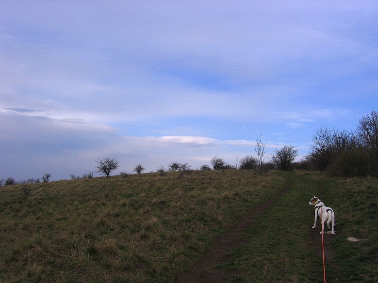 Foto: Andreas Koller / Wandertour / Hundsheimer Berg - am östlichsten Zipfel Österreichs (480m) / 26.11.2012 00:06:41