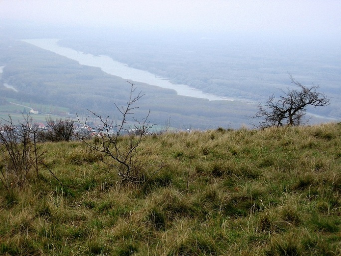 Foto: Andreas Koller / Wandertour / Hundsheimer Berg - am östlichsten Zipfel Österreichs (480m) / Donau / 26.11.2012 00:06:31