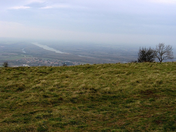 Foto: Andreas Koller / Wandertour / Hundsheimer Berg - am östlichsten Zipfel Österreichs (480m) / Donaublick / 26.11.2012 00:04:58
