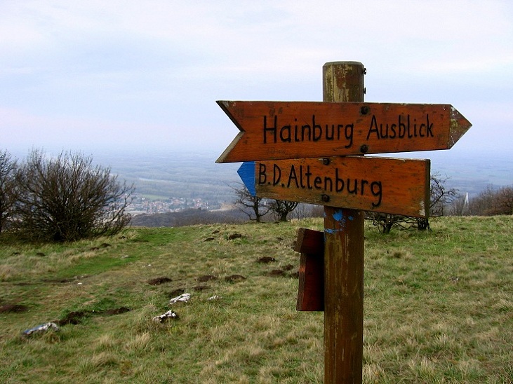 Foto: Andreas Koller / Wandertour / Hundsheimer Berg - am östlichsten Zipfel Österreichs (480m) / Abstieg / 26.11.2012 00:03:25