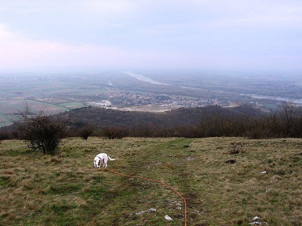 Foto: Andreas Koller / Wandertour / Hundsheimer Berg - am östlichsten Zipfel Österreichs (480m) / 26.11.2012 00:03:11