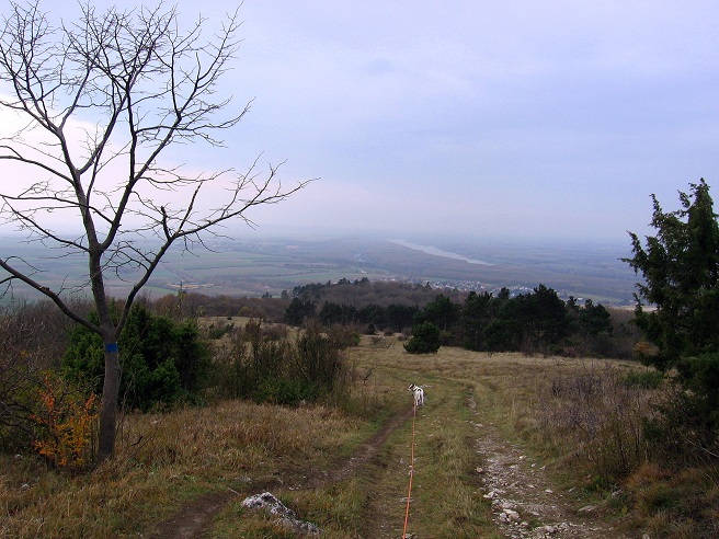 Foto: Andreas Koller / Wandertour / Hundsheimer Berg - am östlichsten Zipfel Österreichs (480m) / 26.11.2012 00:02:36