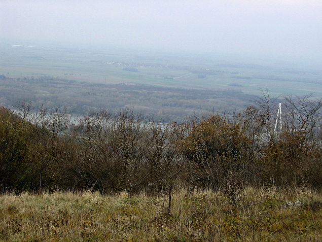 Foto: Andreas Koller / Wandertour / Hundsheimer Berg - am östlichsten Zipfel Österreichs (480m) / 26.11.2012 00:02:25