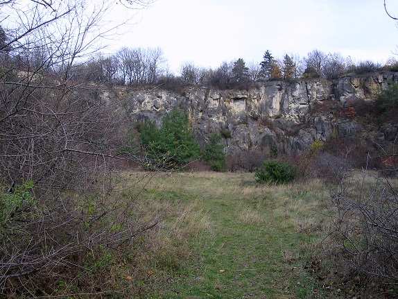 Foto: Andreas Koller / Wandertour / Hundsheimer Berg - am östlichsten Zipfel Österreichs (480m) / 26.11.2012 00:00:14