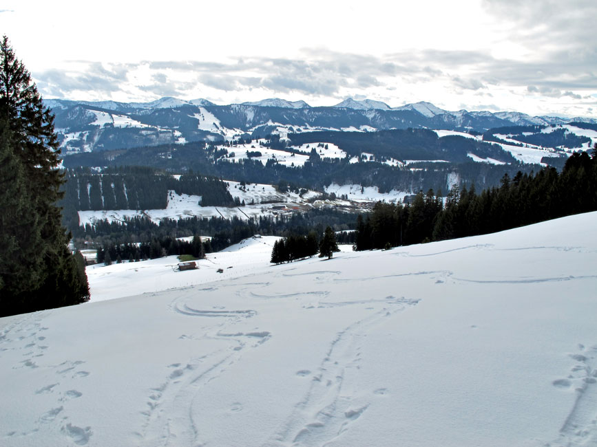 Foto: vince 51 / Schneeschuhtour / Hauchenberg / Aufstieg links am Waldrand / 03.01.2013 23:35:09