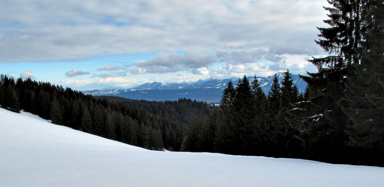 Foto: vince 51 / Schneeschuhtour / Hauchenberg / 03.01.2013 23:33:54