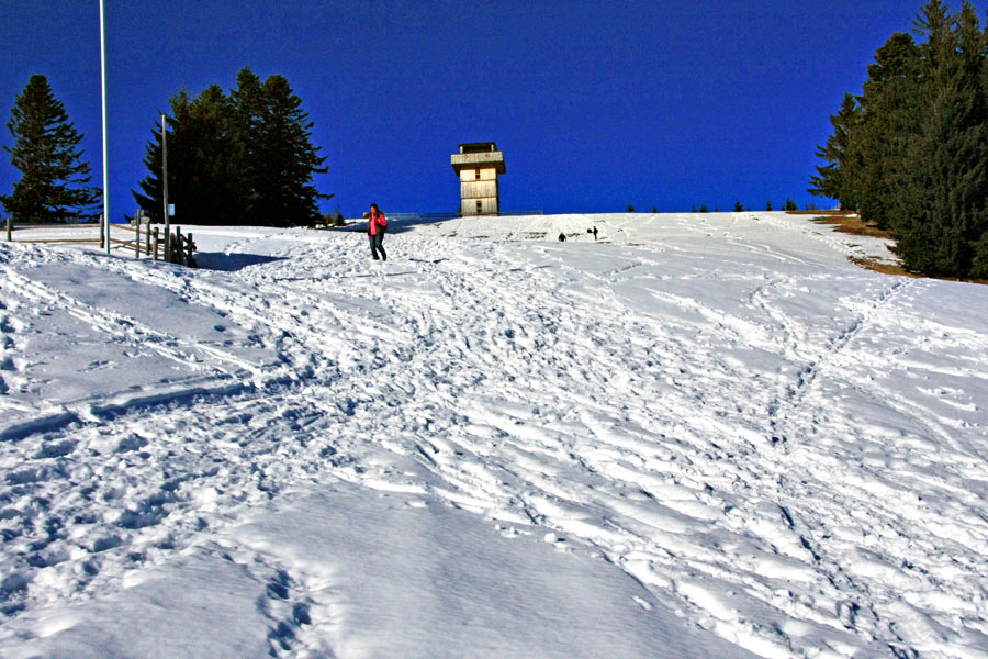 Foto: vince 51 / Schneeschuhtour / Hauchenberg / Blick von der Klings Hütte zum Aussichtsturm Alpkönigblick / 03.01.2013 23:27:56