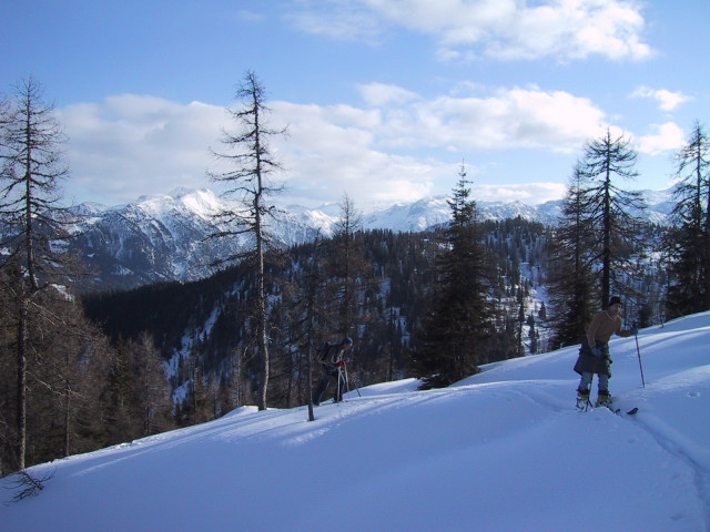 Foto: Wolfgang Lauschensky / Skitour / Grießenkareck 1991m Überschreitung / in der Querung zum NO-Rücken. Links die Steinfeldspitze / 09.01.2013 18:11:27