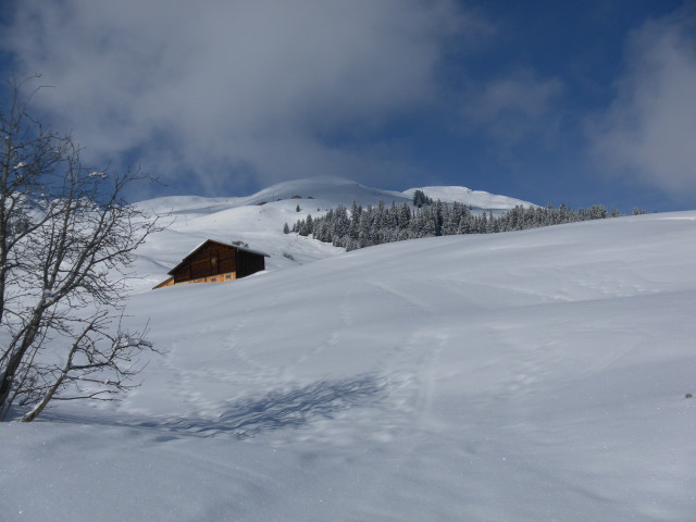 Foto: Wolfgang Lauschensky / Skitour / Schlüechtli über Tenner Chrüz / Almwiesen Richtung Schlüechtli / 25.01.2013 18:41:41