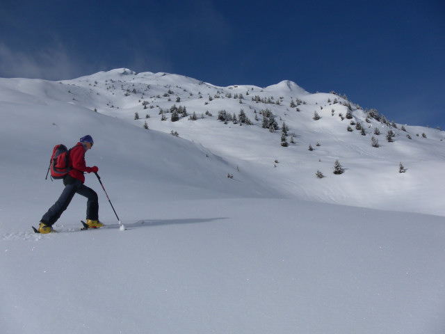 Foto: Wolfgang Lauschensky / Skitour / Schlüechtli über Tenner Chrüz / Süd-Profil des Scalagrates / 25.01.2013 18:40:41