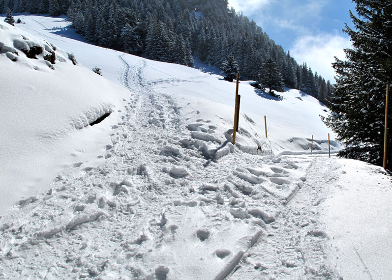 Foto: vince 51 / Schneeschuhtour / Von Gaflei auf die Alpspitze / Hier links abbiegen, jedoch NICHT die links weiterführenden Spuren benutzen (steile Abstiegsspuren), sondern geradeaus/rechts Richtung Wald. / 05.04.2013 21:00:34