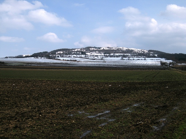 Foto: Andreas Koller / Wandertour / Familienwanderung auf den Waschberg (388m) / Auf den Waschberg / 13.04.2013 13:18:10