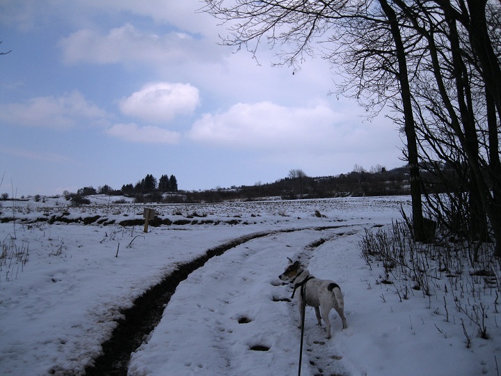 Foto: Andreas Koller / Wandertour / Familienwanderung auf den Waschberg (388m) / 13.04.2013 13:17:50
