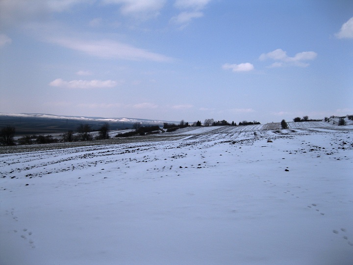 Foto: Andreas Koller / Wandertour / Familienwanderung auf den Waschberg (388m) / 13.04.2013 13:17:42