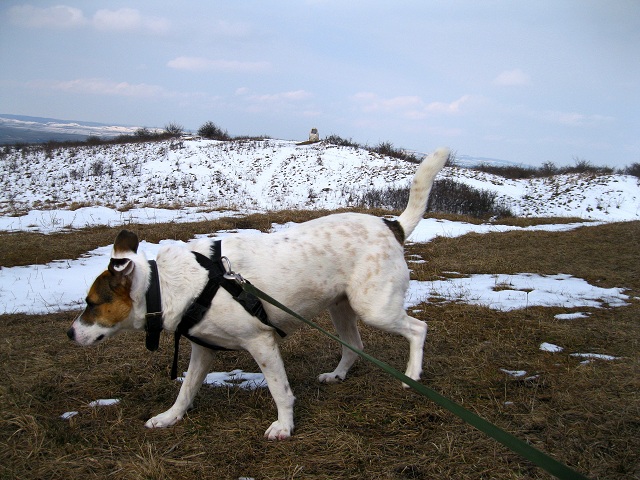 Foto: Andreas Koller / Wandertour / Familienwanderung auf den Waschberg (388m) / 13.04.2013 13:16:12