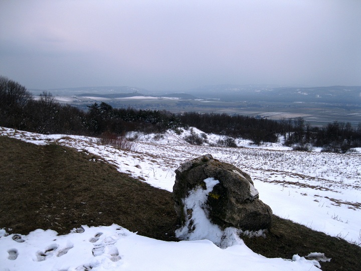 Foto: Andreas Koller / Wandertour / Familienwanderung auf den Waschberg (388m) / 13.04.2013 13:15:52