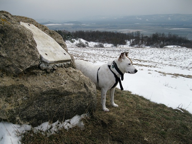 Foto: Andreas Koller / Wandertour / Familienwanderung auf den Waschberg (388m) / 13.04.2013 13:14:53