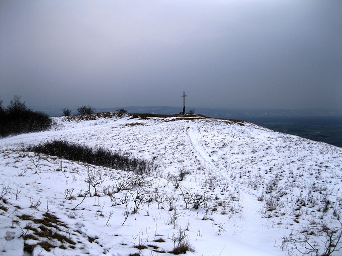 Foto: Andreas Koller / Wandertour / Familienwanderung auf den Waschberg (388m) / 13.04.2013 13:13:53