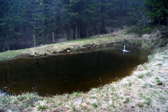 Foto: Andreas Koller / Wandertour / Von der steirischen Seite auf die Koralpe (2117m) / 15.05.2013 22:07:10
