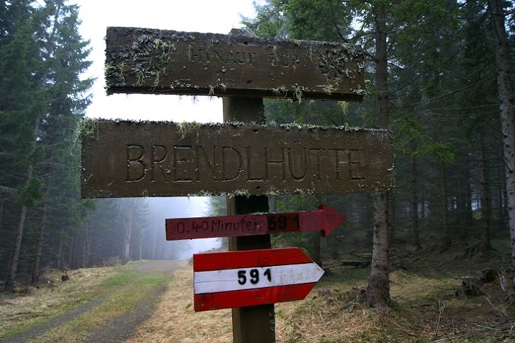 Foto: Andreas Koller / Wandertour / Von der steirischen Seite auf die Koralpe (2117m) / 15.05.2013 22:07:01