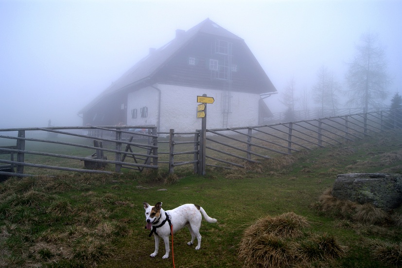 Foto: Andreas Koller / Wandertour / Von der steirischen Seite auf die Koralpe (2117m) / Schwanberger Brendlhütte / 15.05.2013 22:06:16
