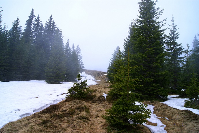 Foto: Andreas Koller / Wandertour / Von der steirischen Seite auf die Koralpe (2117m) / 15.05.2013 22:04:44